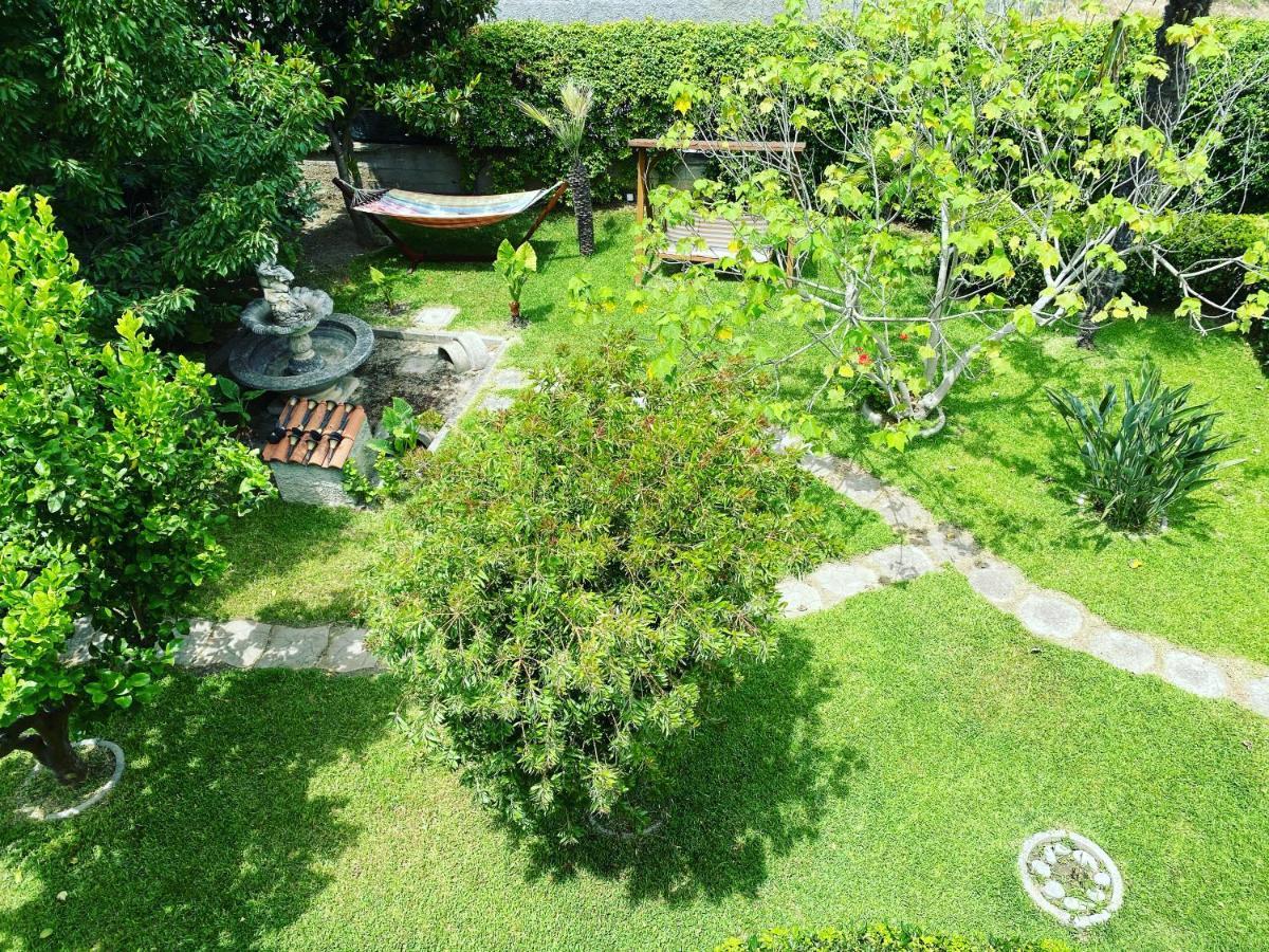 B&B Villa Dei Fiori 圣欧费米亚拉默齐亚 外观 照片