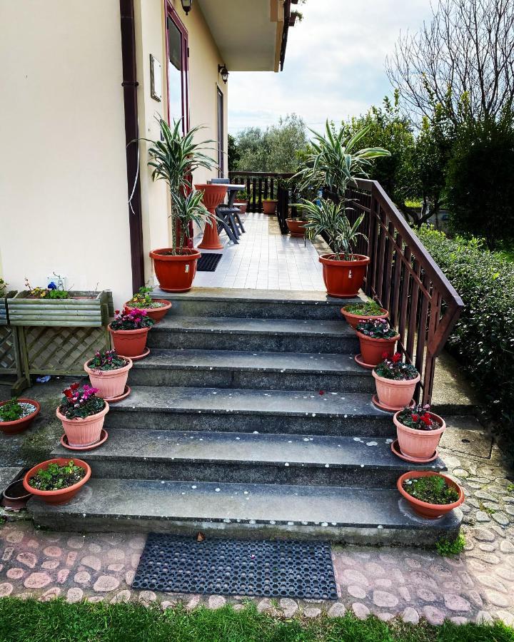 B&B Villa Dei Fiori 圣欧费米亚拉默齐亚 外观 照片