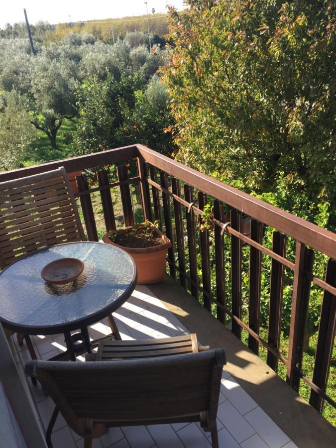 B&B Villa Dei Fiori 圣欧费米亚拉默齐亚 外观 照片